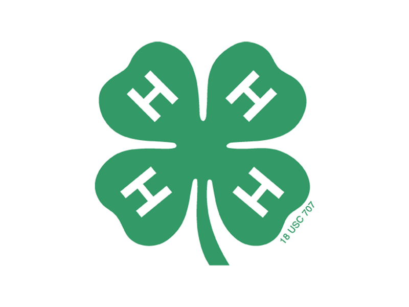 Logo for 2025 Switzerland County 4-H Fair